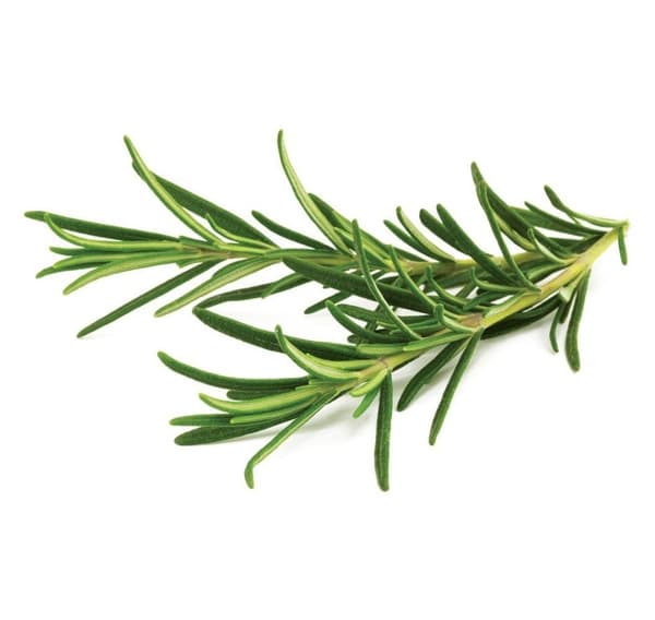 Click & Grow Smart Garden refill Rosemary 3stk