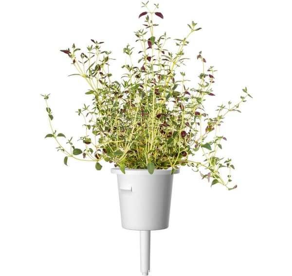 Click & Grow Plant Pod Italian Mix 9stk