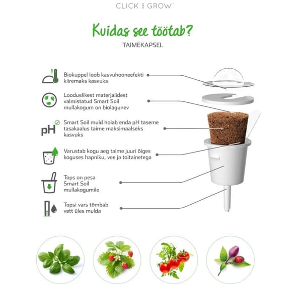 Click & Grow Smart Garden refill Pebermynte 3 stk