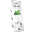 Miniatyrbillede 2 af 3: Click & Grow Smart Garden refill Pebermynte 3 stk