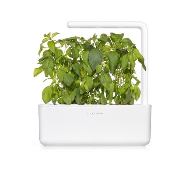 Click & Grow Smart Garden refill Lime Basilikum 3stk