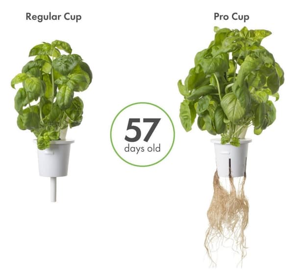 Click & Grow Pro Plant Cupit 9kpl