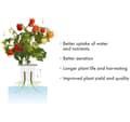 Pikkukuva 2 / 5: Click & Grow Pro Plant Cupit 9kpl
