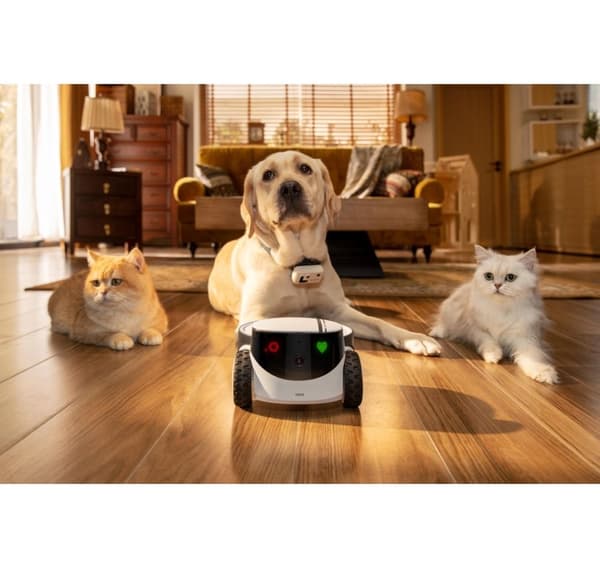 Enabot, Family Robot IP Camera, ROLA PetPal