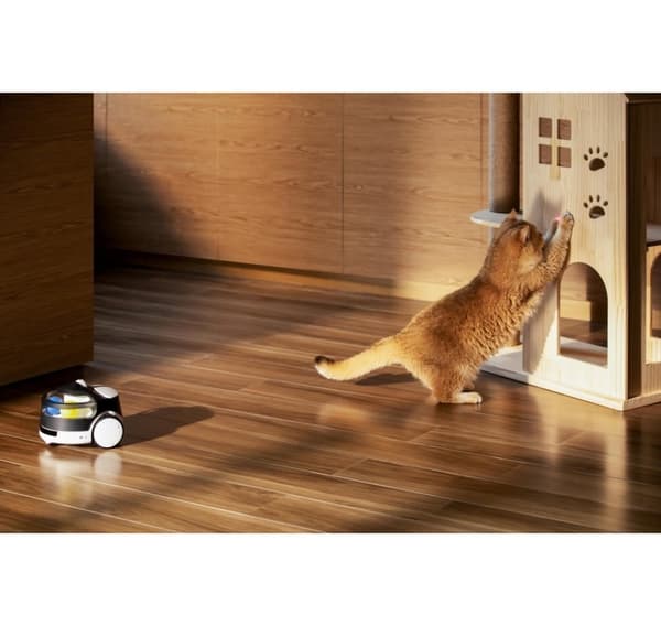 Enabot, Family Robot IP Camera, ROLA PetPal