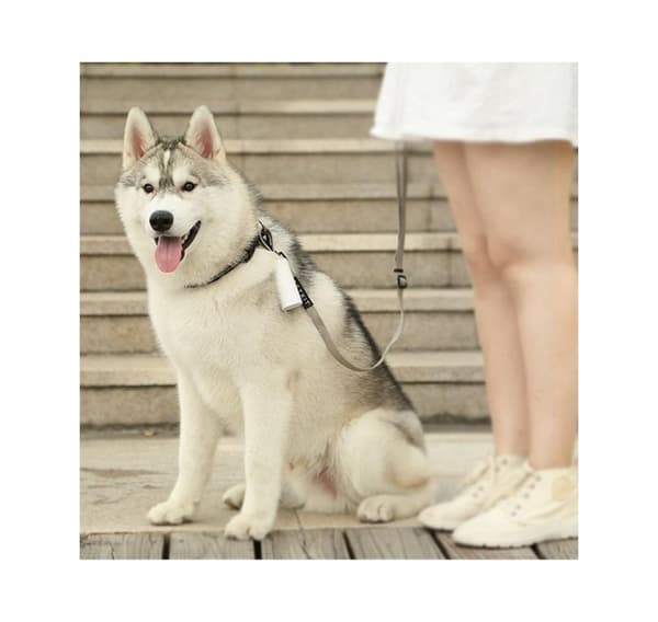 PETKIT, koiran jätteiden annostelijasarja