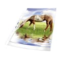 Miniatyrbild 4 av 4: Durable Plastficka 2677 DIN A4 Polypropylen 0.08 mm Glasklar 267719 50 st