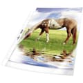 Miniatyrbild 1 av 4: Durable Plastficka 2677 DIN A4 Polypropylen 0.08 mm Glasklar 267719 50 st