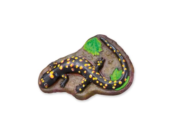 SES Creative Children''s Scary Animals Glow in the Dark Casting and Painting Set, Støpe/malesett for barn, 5 år, Flerfarget