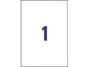 Avery Zweckform L4775REV - Polyester - matt - fjernbart selv-adhesiv - hvit - A4 (210 x 297 mm) 20 etikett(er) filmetiketter