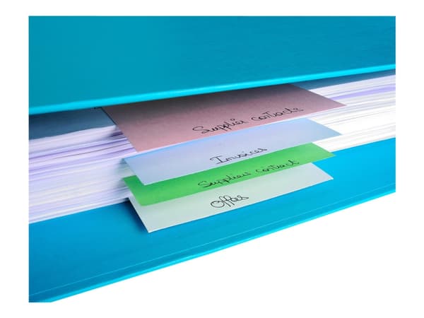 Exacompta Forever - Inndeler - 100 deler - for 105 x 240 mm - assorterte farger