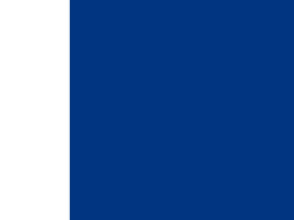 europe100 - Papir - permanet adhesiv - hvit - A6 (105 x 148 mm) 400 etikett(er) (100 ark x 4) flerbruks merkelapper