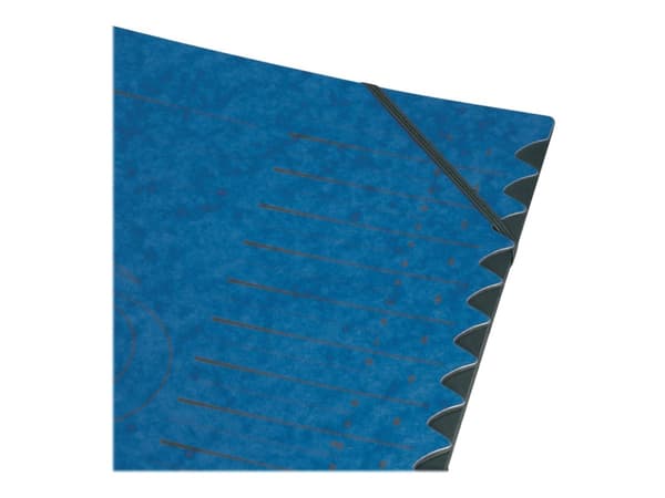 Herlitz Colorspan - Luokittelukansio - 12 lokeroa - 12 osaa - esipainettu: A-Z, 1-12 - A4-kokoonpanolle - välilehdillä - musta, sininen