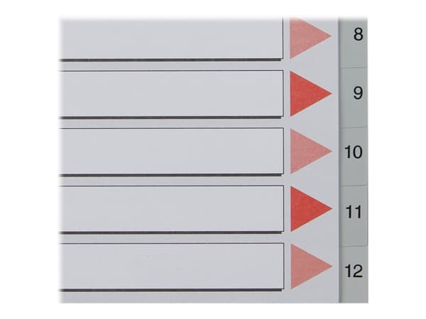Esselte Plastic indexes, 225 mm, 297 mm