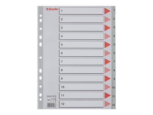 Esselte Plastic indexes, 225 mm, 297 mm
