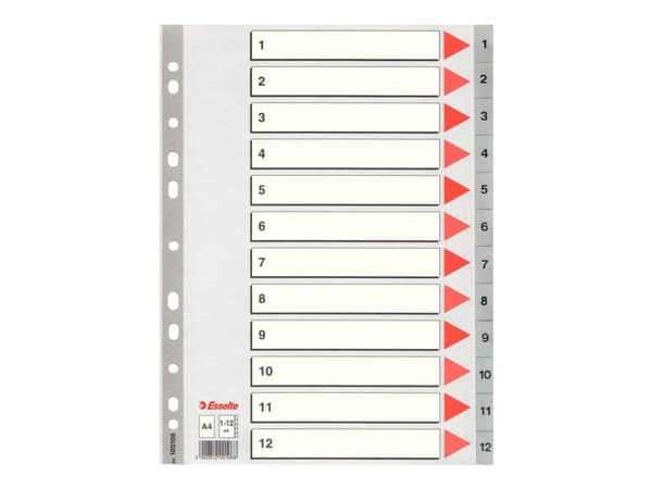Esselte Plastic indexes, 225 mm, 297 mm