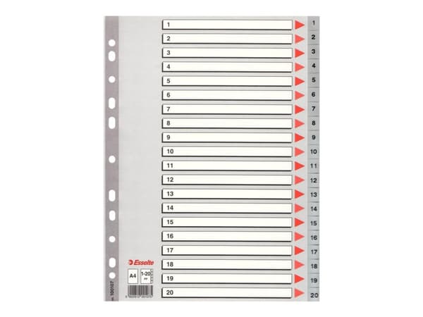 Esselte PP A4 rekisteri 1-20 harmaa - (10 sarjaa)