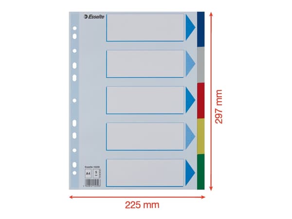 Esselte Multicoloured Polypropylene Dividers, Tyhjä välilehtihakemisto, Polypropeeni (PP), Monivärinen, Muotokuva, A4, 225 mm