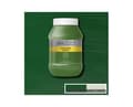 Pikkukuva 1 / 2: Galeria Acrylic 1L Sap Green 599