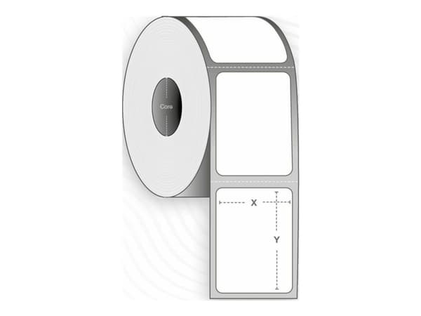 Capture - Permanet adhesiv - ubelagt - hvit - 100 x 50 mm 12000 etikett(er) (12 rull(er) x 1000) boks - merkelapper
