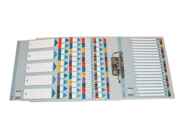 Esselte - Deler - 20 dele - præ-trykt: 1-20 - A4 - med faneblade (10 pcs.)