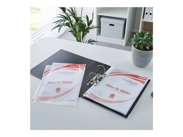 Esselte - Topp- og sidematingsarkbeskytter - for A4 (210 x 297 mm) - klarglass (en pakke 10)