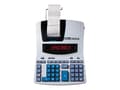 Miniatyrbilde 4 av 5: Ibico Professional 1231X strimmelregner