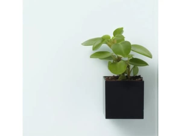 Super Stærk Magnetisk' opbevaringsboks 6 x 6 x 6 cm sort