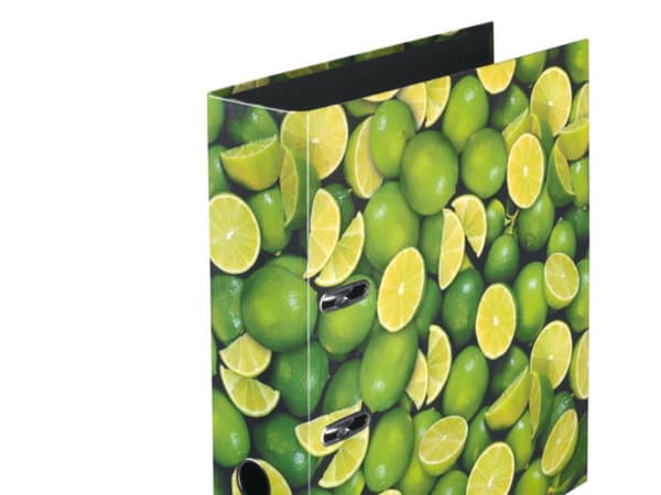 Herlitz maX.file - Spakbågesfil - ryggbredd: 80 mm - för A4 - limedesign