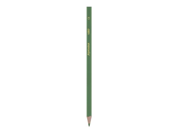BIC KiDS AQUACOULEUR - Färgpenna - blandfärger - 2.9 mm (paket om 12)
