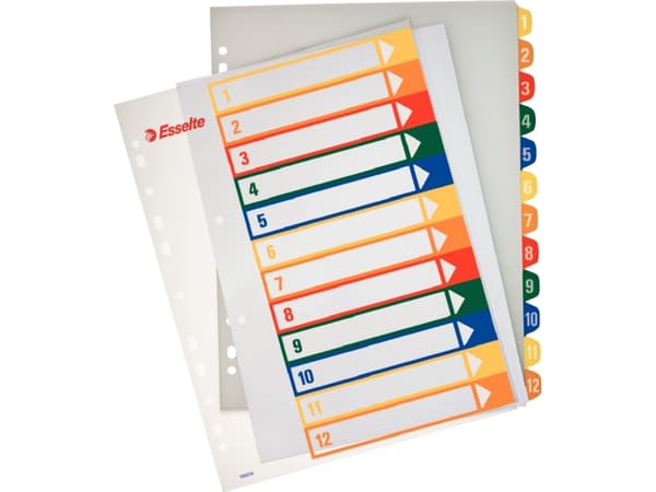 Rekisteröi projekti Esselte 1-12 Maxi PC-tulostukseen Valkoinen 305x248x5mm (1)