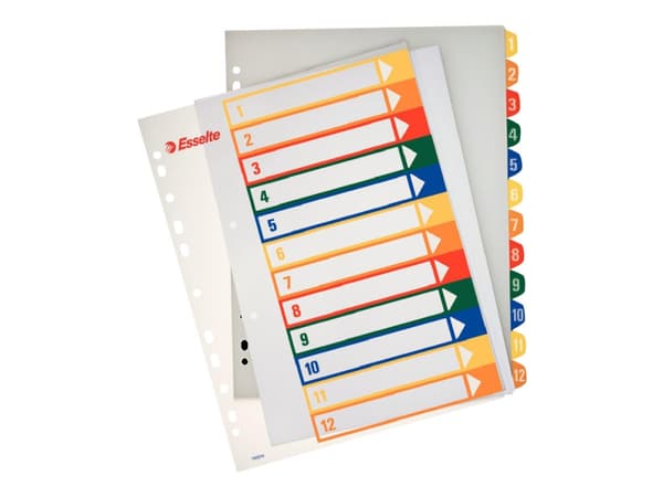 Rekisteröi projekti Esselte 1-12 Maxi PC-tulostukseen Valkoinen 305x248x5mm (1)
