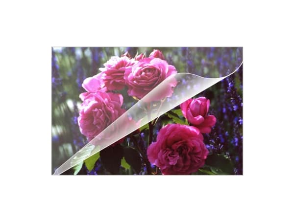 OLYMPIA - 100-pack - transparent - lamineringsfickor