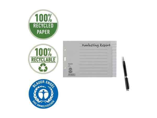 Leitz 12260085, Tyhjä välilehtihakemisto, Paperi, Harmaa, 100 g/m², 240 mm, 24 cm