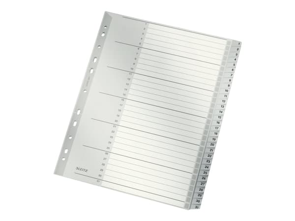 Leitz 12810000, Numeroitu välilehtihakemisto, Pahvi, Harmaa, 250 g/m², 238 mm, 29,7 cm