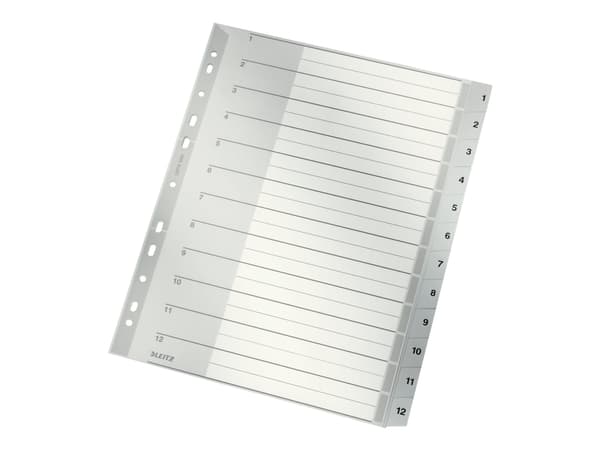 Leitz 12820000, Numeroitu välilehtihakemisto, Pahvi, Harmaa, A4, 250 g/m², 238 mm