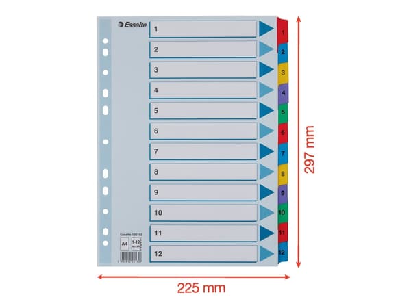 Esselte Mylar Indices & Dividers, Monivärinen, A4, 225 mm, 3 mm, 297 mm, 145 g