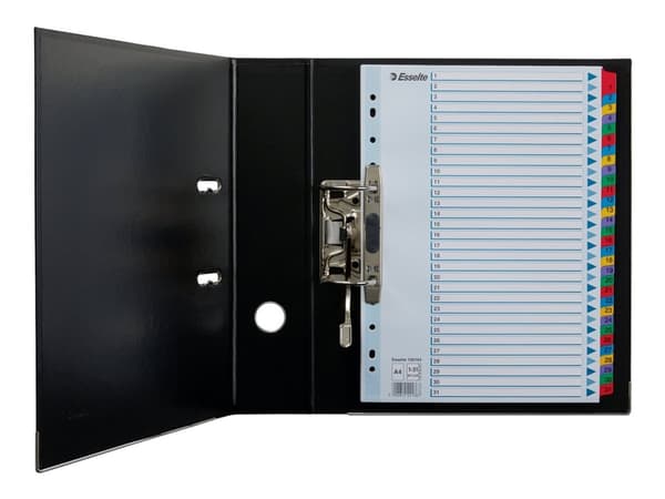 Esselte Mylar Indices & Dividers, Monivärinen, A4, 225 mm, 5 mm, 297 mm, 355 g
