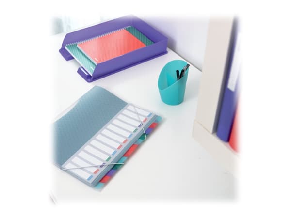 Esselte Colour'Ice - Klassifikationsmapp - 6 utrymmen - 6 delar - för 266 x 320 mm - tabbad - genomskinlig, flera färger