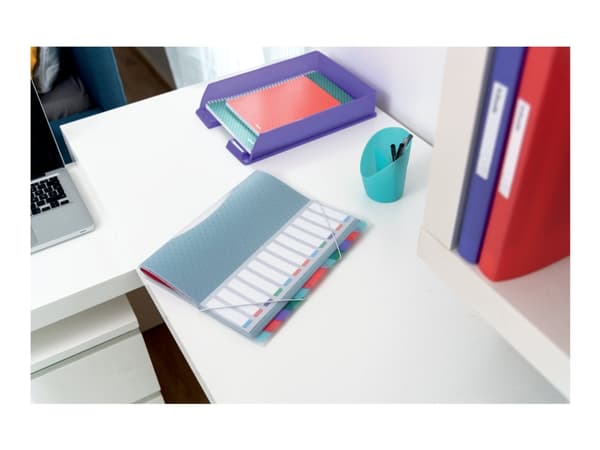 Sorteringsmappe Esselte Colour'Ice 12-delt A4 (karton/12 stk.)