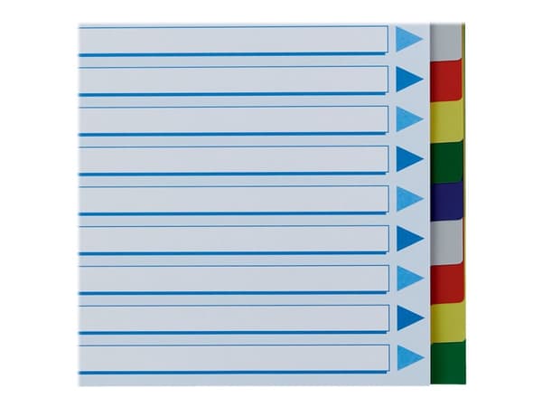 Esselte - Inndeler - 20 deler - for A4 - med fliker