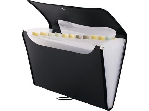 D.Rect Folder A4 12 compartments black