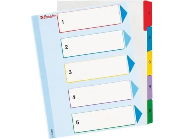 Esselte Spacers for A4 Mylar ring binder with description page (10K200D)