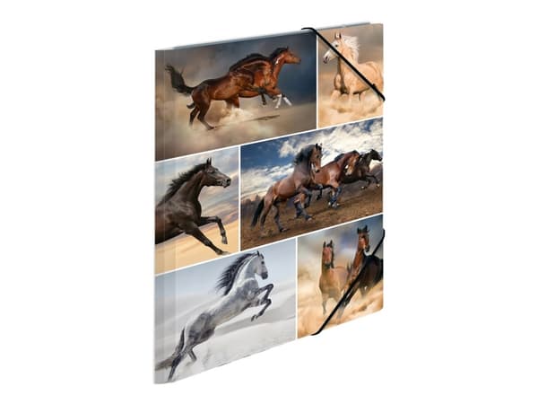 HERMA - 3-flikhållare - för A4 - horses