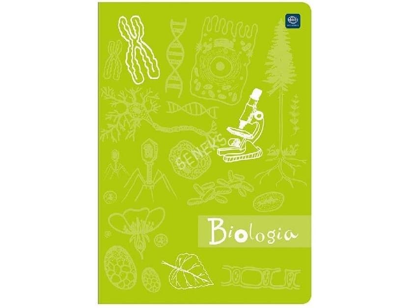 Interdruk Notebook A5/60K check Hybrid Biology (10 pcs)