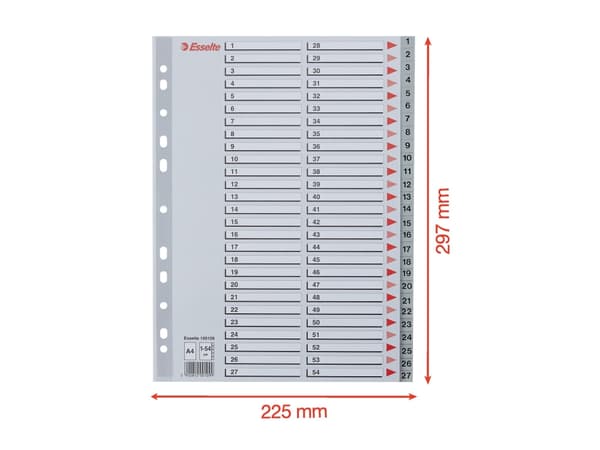 Esselte - Inndeler - fortrykt: 1-54 - for A4 (210 x 297 mm) - med fliker - grå