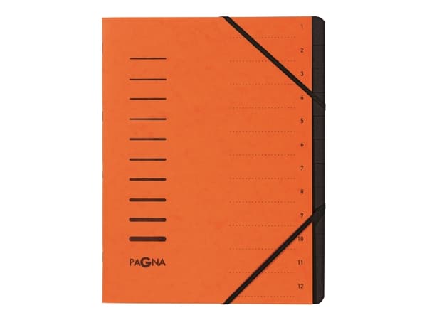 Pagna 40059-12, Oranssi, A4, 245 mm, 320 mm