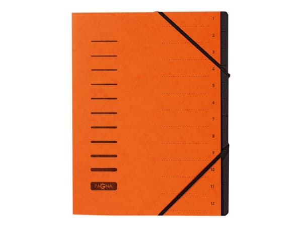Pagna 40059-12, Oranssi, A4, 245 mm, 320 mm