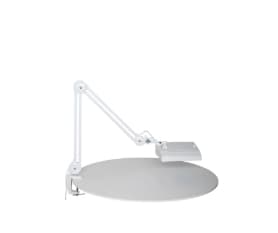 MAUL 8265002, 195 x 157,5 mm, LED, 6500 K, 560 lm, Hvit, 10000 timer