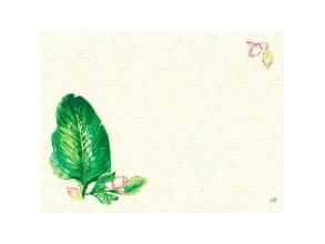 Duk Dunicel 30x40 cm Banas,5 pk x 100 st/krt